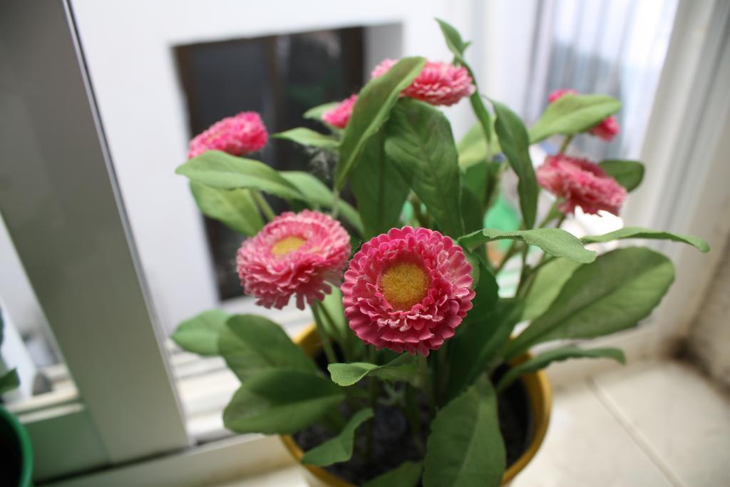 קואנקה Apartamento La Biblioteca En Cuenca חדר תמונה
