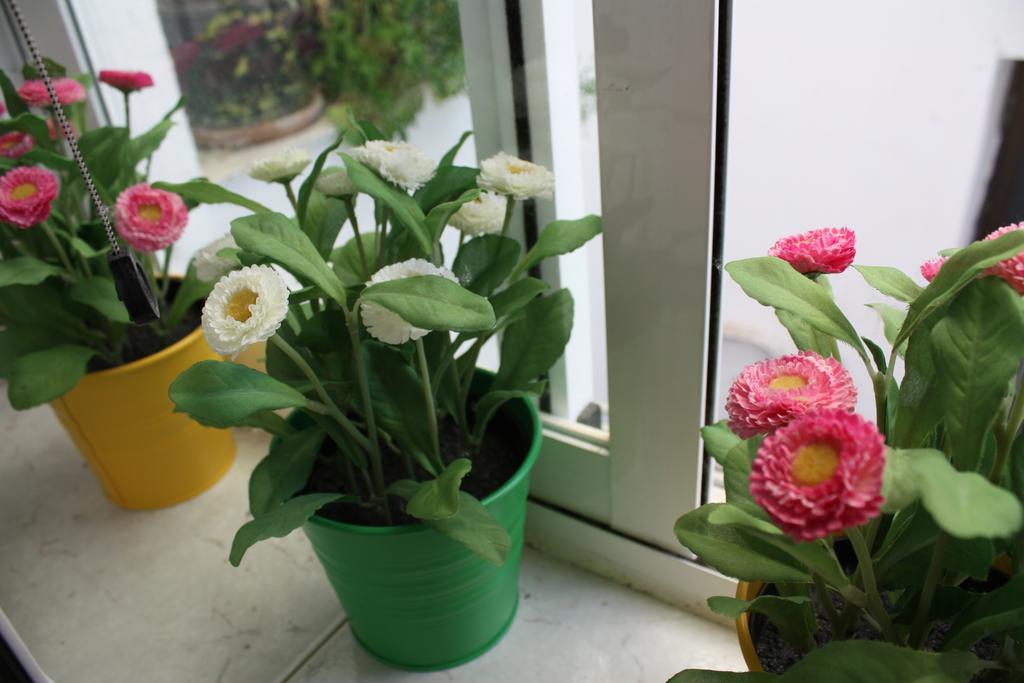 קואנקה Apartamento La Biblioteca En Cuenca חדר תמונה